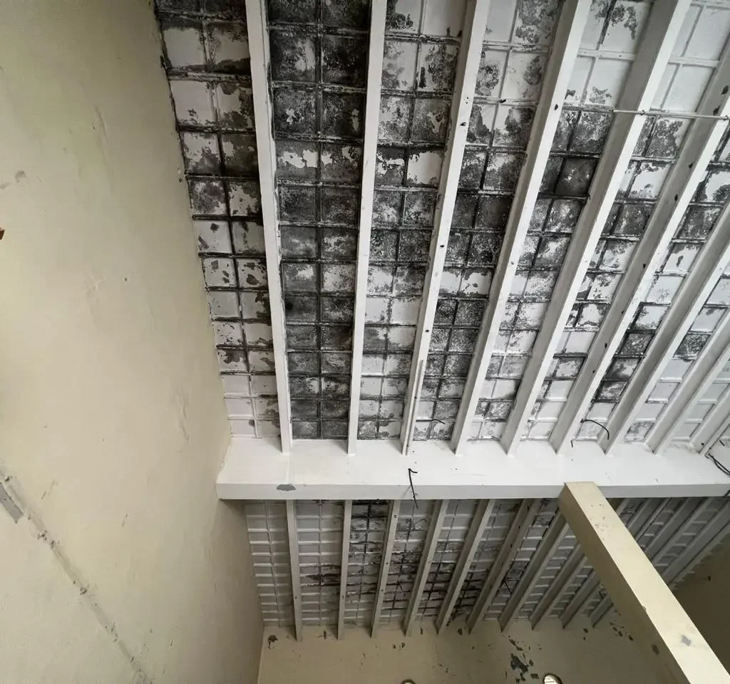 sight view of roof whihc has izhar precast slabs